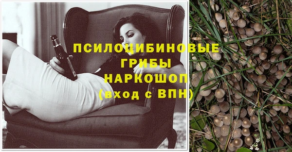jwh Нязепетровск