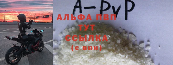 прущие грибы Новокубанск