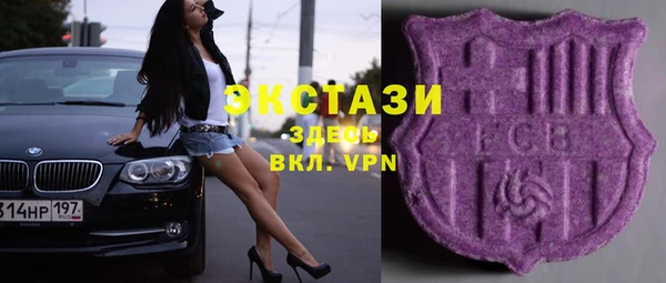 мдпв Новозыбков