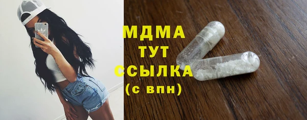 шишки Новодвинск