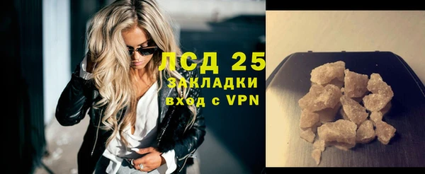 шишки Новодвинск