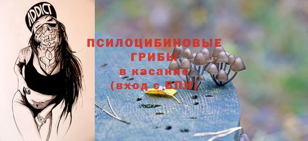 мдпв Новозыбков
