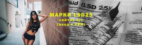 мдпв Новозыбков